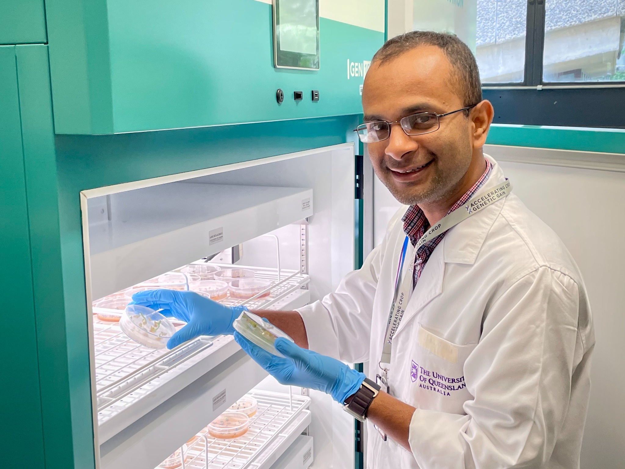 Mamunur Rashid examining tissue culture plates at The University of Queensland